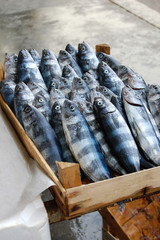 fresh fish