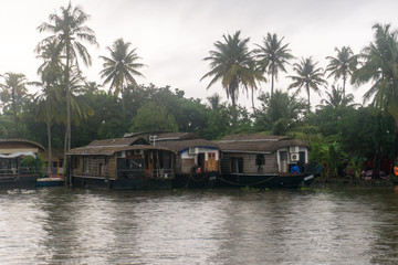 Obraz premium Appelley (Kerala), India