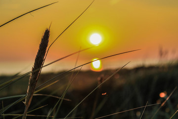 Sonnenuntergang in den Dünen
