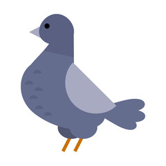 Obraz premium Dove vector icon illustration cartoon style bird
