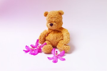 Bear is sitting down very lonely with orchid around