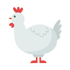 Cute chicken cartoon bird.