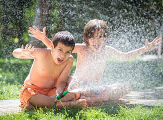 Cute little boys on summer meadow splashing water having fun and