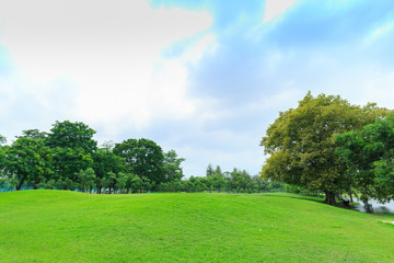 View of Vachirabenjatus Park or Train park in Bangkok Thailand.