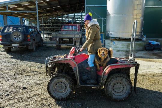 Adult woman working in a dairy farm with her dog
