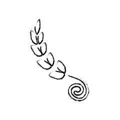 Wheat natural food icon vector illustration graphic design