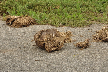 Wild Eastern Cape, South Africa