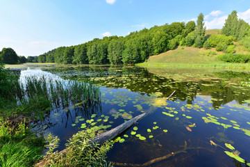view of the lake's shore in Masuria District, Poland