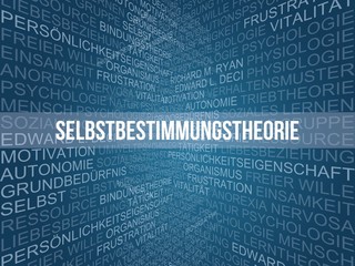 Selbstbestimmungstheorie