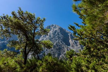 Samaria Gorge. Crete. Greece.