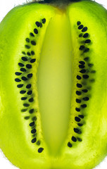Slice of kiwi fruit.