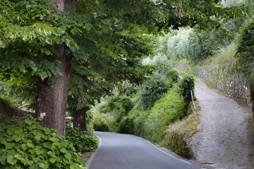 Road to Benabbio