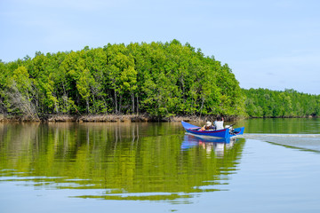 a boat traveling pass a mangrove forest