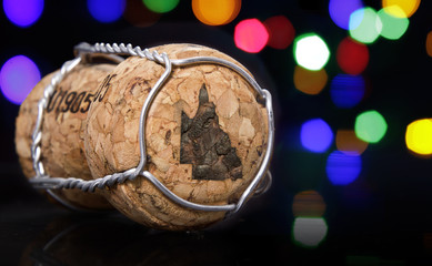 Cork with the shape of Queensland burnt in.(series)