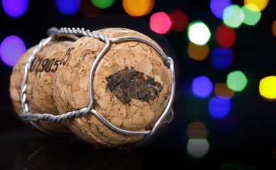 Cork with the shape of Czech Republic burnt in.(series)