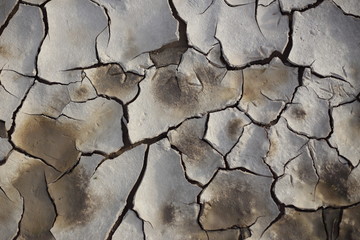 cracked earth