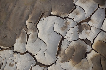 cracked earth