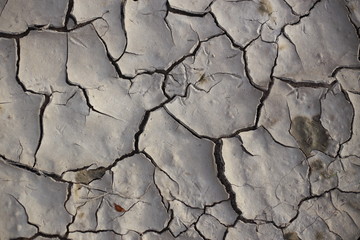 cracked earth