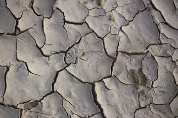 cracked earth