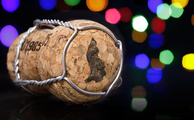 Cork with the shape of Lichtenstein burnt in.(series)