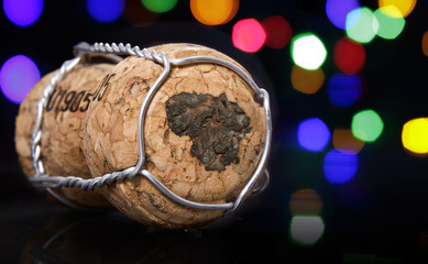 Cork with the shape of Lithuania burnt in.(series)