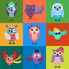 Cartoon owl vector isolated
