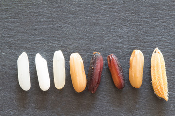 Close up macro collection of rice grain ,white rice,brown rice,black rice and paddy riceisolated on blackborad