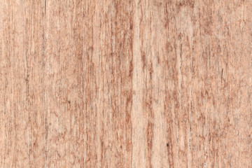 Wood texture, wood background for design with copy space for text or image. Wood motifs that occurs natural.
