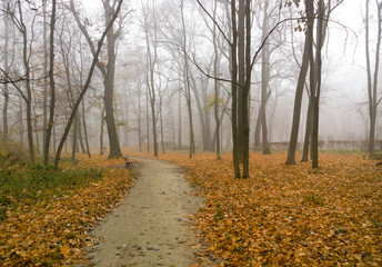 Autumn landscape.