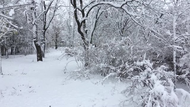 Snowfall in the city park, slow motion