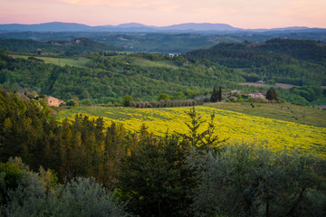 Tuscany view of the hills and vineyards near San Gimignano