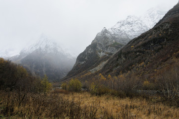 Foggy mountain landscape