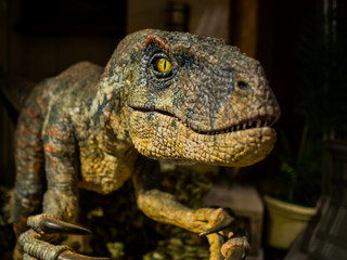 Obraz premium Dinozaur, skup się na oku