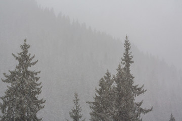 Heavy snow blizzard in the winter, in the mountains