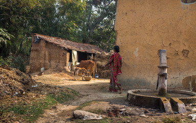 Fototapeta na wymiar Typical Indian village with mud houses, cattle and a deep tubewell in the foreground. Photograph taken at a rural village in Bankura district, West Bengal, India.