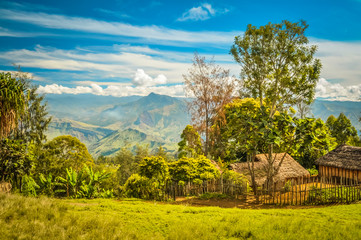 Houses with fence