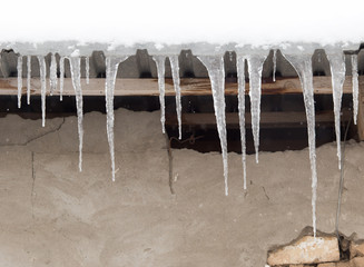 icicles on winter nature