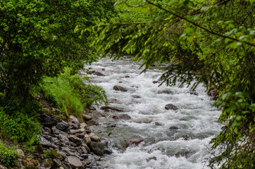 kleiner bach