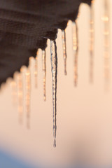 winter icicles on the sun dawn