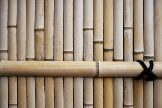 Traditional bamboo fence, asia style, for background.
