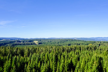 Fototapeta na wymiar Tannenwald Schwarzwald von oben
