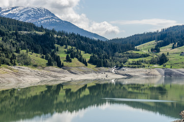 staussee in der natur