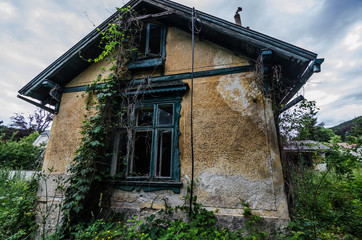 verwachsenes haus