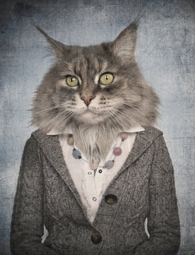 Cat in clothes. Concept graphic in vintage style.