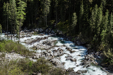 Fototapeta premium wildbach in der natur