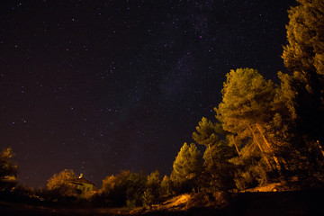 stars, forest and milkway