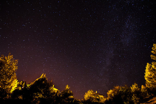 satrs, forest and milkyway