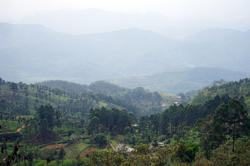Fototapeta na wymiar View from Haputale