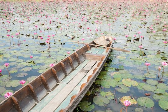 Fototapeta Beautiful red lotus fields with gondola