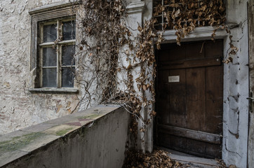 verwachsene hauswand
